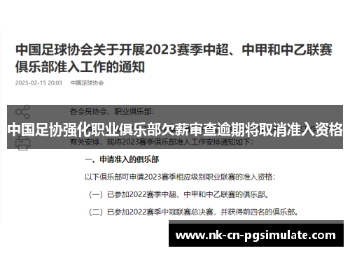 中国足协强化职业俱乐部欠薪审查逾期将取消准入资格